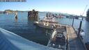 ./images/quadra/hbidock/20250811/hbidock20250811_080500M.jpg