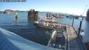 ./images/quadra/hbidock/20250811/hbidock20250811_080509M.jpg
