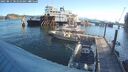 ./images/quadra/hbidock/20250811/hbidock20250811_081010M.jpg