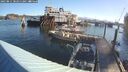 ./images/quadra/hbidock/20250811/hbidock20250811_082511M.jpg