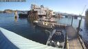 ./images/quadra/hbidock/20250811/hbidock20250811_083000M.jpg