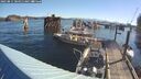 ./images/quadra/hbidock/20250811/hbidock20250811_084011M.jpg