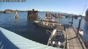 ./images/quadra/hbidock/20250811/hbidock20250811_084500M.jpg