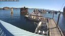 ./images/quadra/hbidock/20250811/hbidock20250811_085509M.jpg