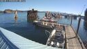 ./images/quadra/hbidock/20250811/hbidock20250811_090500M.jpg
