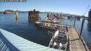./images/quadra/hbidock/20250811/hbidock20250811_090511M.jpg