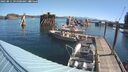 ./images/quadra/hbidock/20250811/hbidock20250811_095000M.jpg