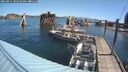 ./images/quadra/hbidock/20250811/hbidock20250811_102510M.jpg