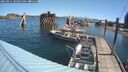 ./images/quadra/hbidock/20250811/hbidock20250811_103506M.jpg