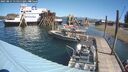 ./images/quadra/hbidock/20250811/hbidock20250811_115011M.jpg