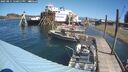 ./images/quadra/hbidock/20250811/hbidock20250811_120012M.jpg