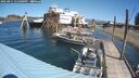 ./images/quadra/hbidock/20250811/hbidock20250811_121000M.jpg
