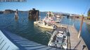 ./images/quadra/hbidock/20250811/hbidock20250811_171510M.jpg