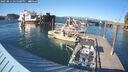 ./images/quadra/hbidock/20250811/hbidock20250811_175000M.jpg