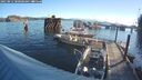 ./images/quadra/hbidock/20250812/hbidock20250812_080000M.jpg