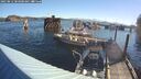 ./images/quadra/hbidock/20250812/hbidock20250812_083000M.jpg