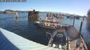 ./images/quadra/hbidock/20250812/hbidock20250812_083011M.jpg