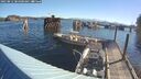 ./images/quadra/hbidock/20250812/hbidock20250812_084000M.jpg