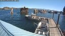 ./images/quadra/hbidock/20250812/hbidock20250812_095011M.jpg