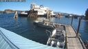 ./images/quadra/hbidock/20250812/hbidock20250812_101000M.jpg
