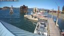 ./images/quadra/hbidock/20250812/hbidock20250812_160511M.jpg