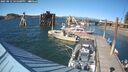 ./images/quadra/hbidock/20250812/hbidock20250812_165000M.jpg