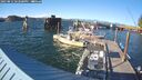./images/quadra/hbidock/20250812/hbidock20250812_182500M.jpg