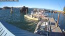 ./images/quadra/hbidock/20250812/hbidock20250812_182509M.jpg