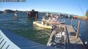 ./images/quadra/hbidock/20250812/hbidock20250812_183509M.jpg