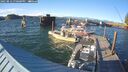 ./images/quadra/hbidock/20250812/hbidock20250812_190000M.jpg
