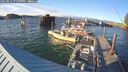 ./images/quadra/hbidock/20250812/hbidock20250812_192509M.jpg