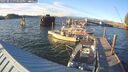 ./images/quadra/hbidock/20250812/hbidock20250812_194010M.jpg