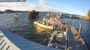 ./images/quadra/hbidock/20250812/hbidock20250812_194500M.jpg