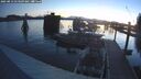 ./images/quadra/hbidock/20250813/hbidock20250813_053509M.jpg