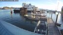 ./images/quadra/hbidock/20250813/hbidock20250813_081010M.jpg