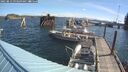 ./images/quadra/hbidock/20250813/hbidock20250813_093509M.jpg