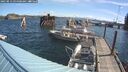 ./images/quadra/hbidock/20250813/hbidock20250813_094501M.jpg