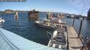 ./images/quadra/hbidock/20250813/hbidock20250813_103500M.jpg