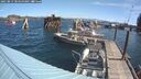 ./images/quadra/hbidock/20250813/hbidock20250813_104500M.jpg