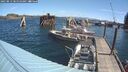 ./images/quadra/hbidock/20250813/hbidock20250813_105510M.jpg