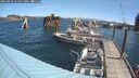 ./images/quadra/hbidock/20250813/hbidock20250813_111011M.jpg