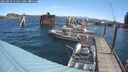 ./images/quadra/hbidock/20250813/hbidock20250813_112011M.jpg