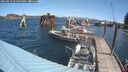 ./images/quadra/hbidock/20250813/hbidock20250813_113500M.jpg