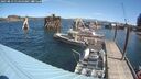 ./images/quadra/hbidock/20250813/hbidock20250813_114500M.jpg