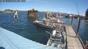 ./images/quadra/hbidock/20250813/hbidock20250813_114510M.jpg