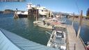 ./images/quadra/hbidock/20250813/hbidock20250813_154500M.jpg
