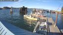 ./images/quadra/hbidock/20250813/hbidock20250813_181009M.jpg