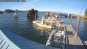 ./images/quadra/hbidock/20250813/hbidock20250813_181511M.jpg