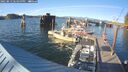 ./images/quadra/hbidock/20250813/hbidock20250813_183500M.jpg