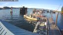 ./images/quadra/hbidock/20250813/hbidock20250813_185011M.jpg